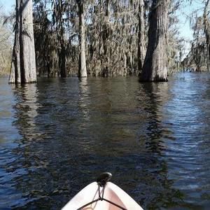 Meet your Posher, Christy